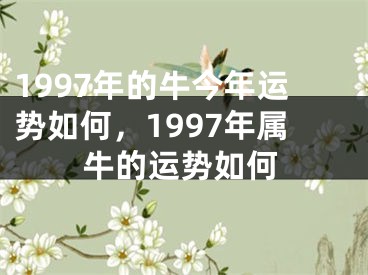 1997年的牛今年运势如何,1997年属牛的运势如何