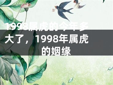 1998属虎的今年多大了，1998年属虎的姻缘
