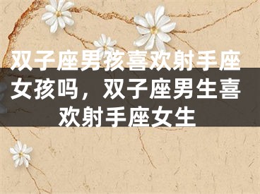 双子座男孩喜欢射手座女孩吗，双子座男生喜欢射手座女生