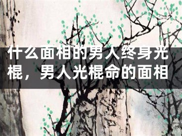 什么面相的男人终身光棍,男人光棍命的面相