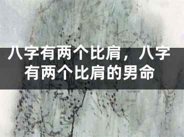 八字有两个比肩，八字有两个比肩的男命