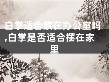 白掌适合放在办公室吗,白掌是否适合摆在家里