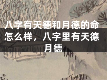八字有天德和月德的命怎么样，八字里有天德月德