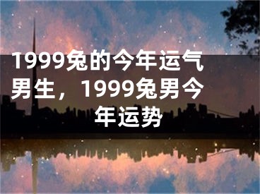 1999兔的今年运气男生,1999兔男今年运势