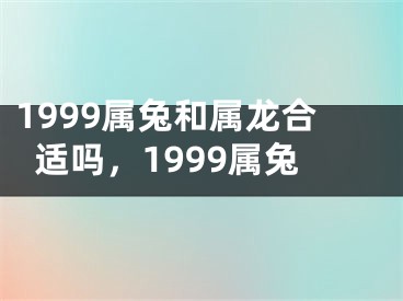 1999属兔和属龙合适吗,1999属兔