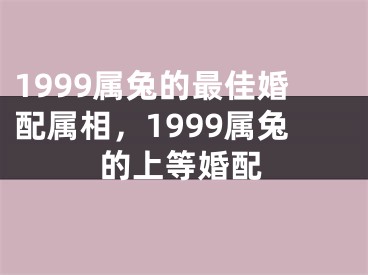 1999属兔的最佳婚配属相,1999属兔的上等婚配