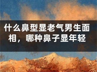什么鼻型显老气男生面相，哪种鼻子显年轻