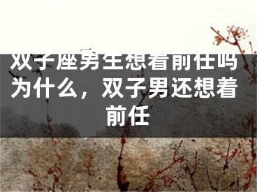 双子座男生想着前任吗为什么，双子男还想着前任