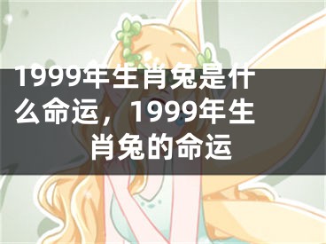 1999年生肖兔是什么命运,1999年生肖兔的命运