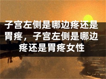 子宫左侧是哪边疼还是胃疼，子宫左侧是哪边疼还是胃疼女性