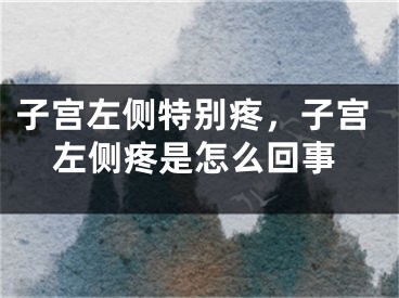 子宫左侧特别疼，子宫左侧疼是怎么回事