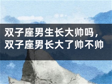 双子座男生长大帅吗，双子座男长大了帅不帅