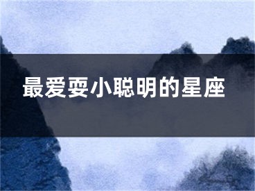最爱耍小聪明的星座