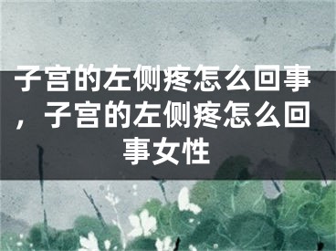 子宫的左侧疼怎么回事，子宫的左侧疼怎么回事女性