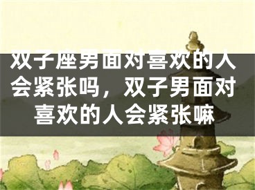 双子座男面对喜欢的人会紧张吗，双子男面对喜欢的人会紧张嘛