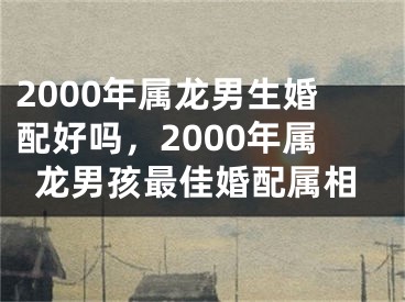 2000年属龙男生婚配好吗,2000年属龙男孩最佳婚配属相