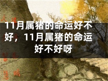 11月属猪的命运好不好，11月属猪的命运好不好呀