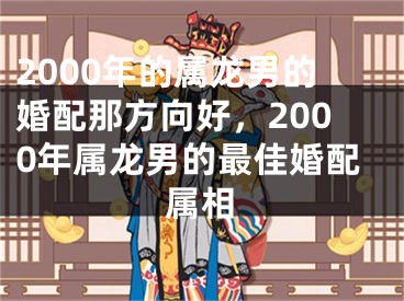 2000年的属龙男的婚配那方向好,2000年属龙男的最佳婚配属相