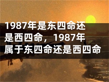 1987年是东四命还是西四命,1987年属于东四命还是西四命
