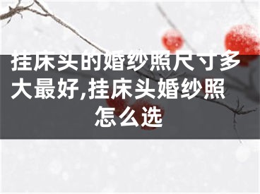挂床头的婚纱照尺寸多大最好,挂床头婚纱照怎么选