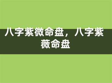 八字紫微命盘,八字紫薇命盘