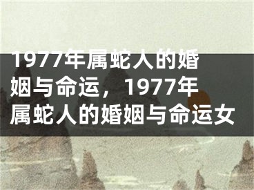 1977年属蛇人的婚姻与命运,1977年属蛇人的婚姻与命运女