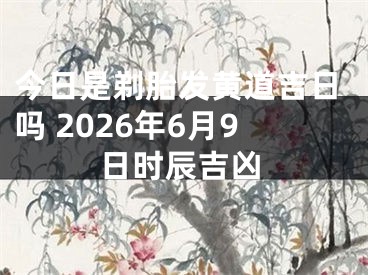 今日是剃胎发黄道吉日吗 2026年6月9日时辰吉凶