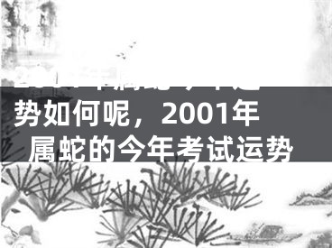 2001年属蛇今年运势如何呢,2001年属蛇的今年考试运势