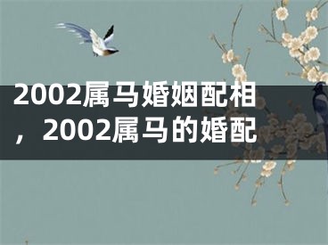 2002属马婚姻配相，2002属马的婚配