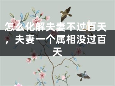 怎么化解夫妻不过百天,夫妻一个属相没过百天