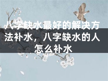 八字缺水最好的解决方法补水，八字缺水的人怎么补水