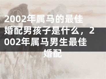 2002年属马的最佳婚配男孩子是什么，2002年属马男生最佳婚配