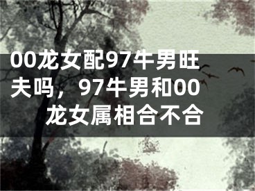 00龙女配97牛男旺夫吗，97牛男和00龙女属相合不合