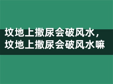 坟地上撒尿会破风水，坟地上撒尿会破风水嘛