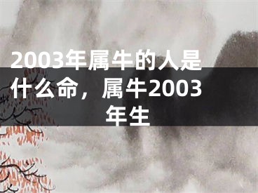 2003年属牛的人是什么命，属牛2003年生