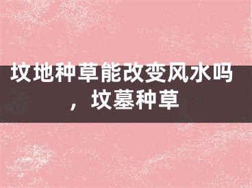 坟地种草能改变风水吗，坟墓种草
