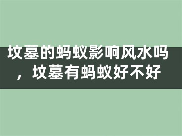 坟墓的蚂蚁影响风水吗，坟墓有蚂蚁好不好
