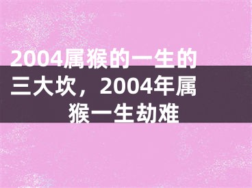 2004属猴的一生的三大坎,2004年属猴一生劫难