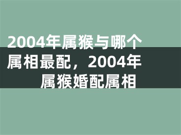 2004年属猴与哪个属相最配,2004年属猴婚配属相