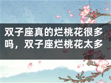 双子座真的烂桃花很多吗，双子座烂桃花太多
