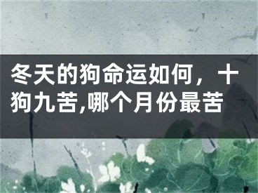 冬天的狗命运如何，十狗九苦,哪个月份最苦