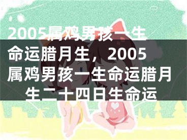 2005属鸡男孩一生命运腊月生，2005属鸡男孩一生命运腊月生二十四日生命运