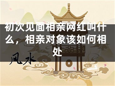 初次见面相亲网红叫什么，相亲对象该如何相处
