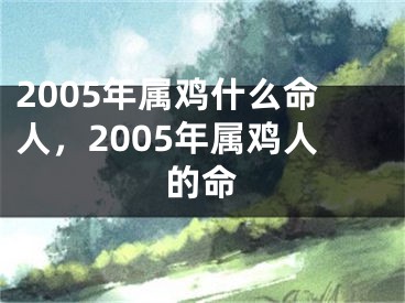 2005年属鸡什么命人,2005年属鸡人的命