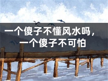 一个傻子不懂风水吗，一个傻子不可怕