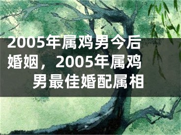 2005年属鸡男今后婚姻，2005年属鸡男最佳婚配属相