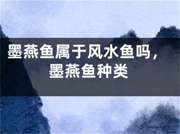 墨燕鱼属于风水鱼吗，墨燕鱼种类