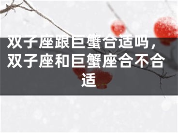双子座跟巨蟹合适吗，双子座和巨蟹座合不合适