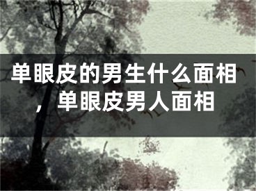 单眼皮的男生什么面相，单眼皮男人面相