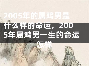2005年的属鸡男是什么样的命运，2005年属鸡男一生的命运怎样